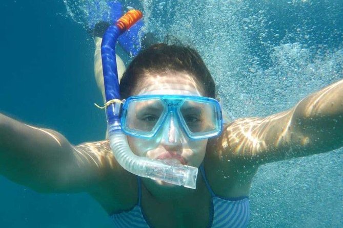 Shared Swim and Snorkel Tour in Rhodes - Distribution of Ratings