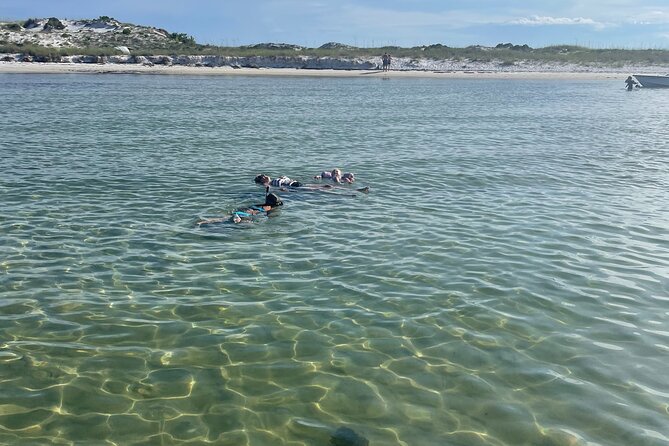Shell Island Adventure for 3 Hours: Dolphin Tour and Snorkeling - The Sum Up