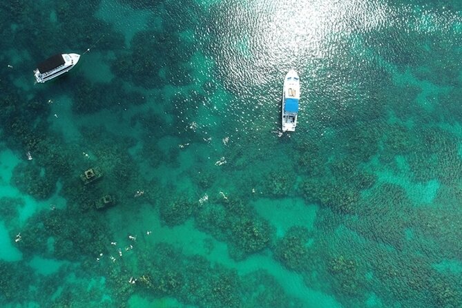 Shipwreck Snorkel in Bermuda - Overview and What To Expect