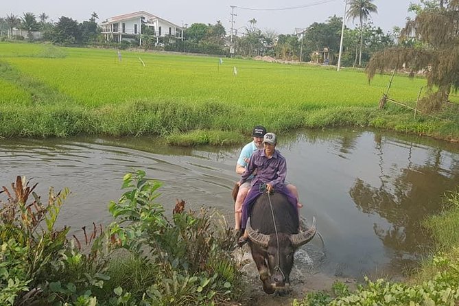 Shore Excursion to HOI an COUNTRYSIDE & HOI an City Fromtien SA or CHAN MAY Port - Pick-up and Drop-off at Port