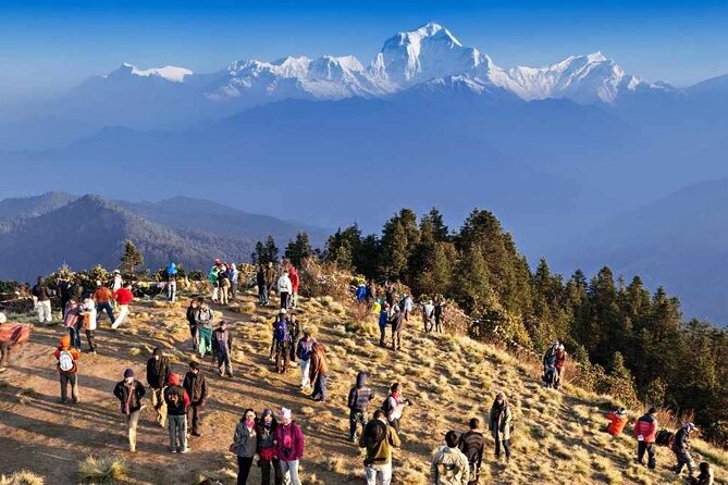 Short on Time? The Ultimate 6-Day Annapurna Base Camp Trek - Day 6: Annapurna Base Camp Trek and Return to Bamboo