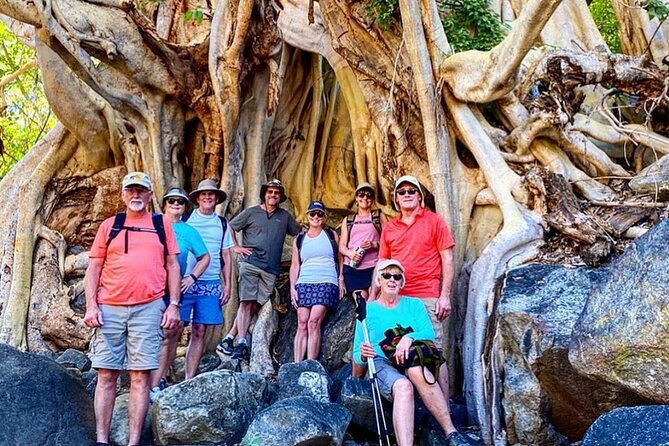 Sierra De La Laguna Hiking and Natural Springs Swim With Waterfalls - Whats Included in the Tour Package