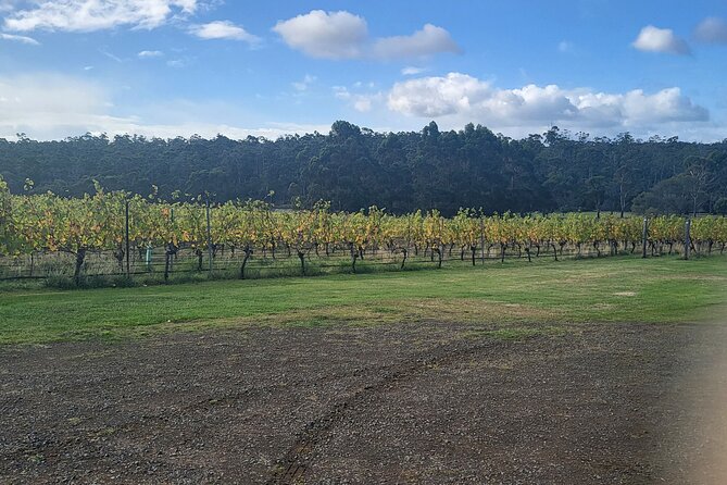 Signature Wine Tour From Hobart and Southern Tasmania - Directions