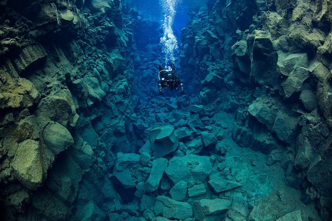 Silfra Fissure Freshwater Scuba Diving Tour From Reykjavik - Pricing and Company Information