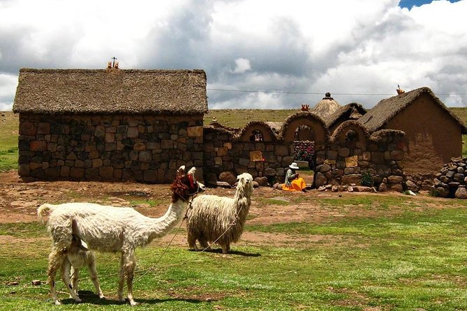 Sillustani Tombs Excursion - Traveler Photos