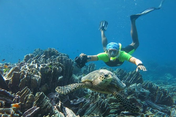 Similan Islands Day Trip by Speedboat From Phuket - Common Questions