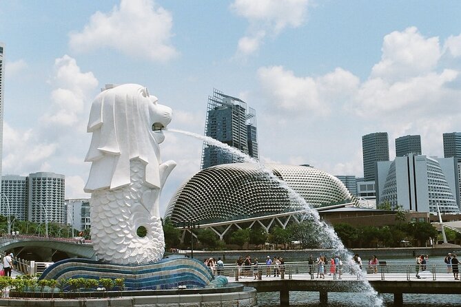 Singapore Airport to Cruise Terminal - Emergency Number for Pickup Instructions