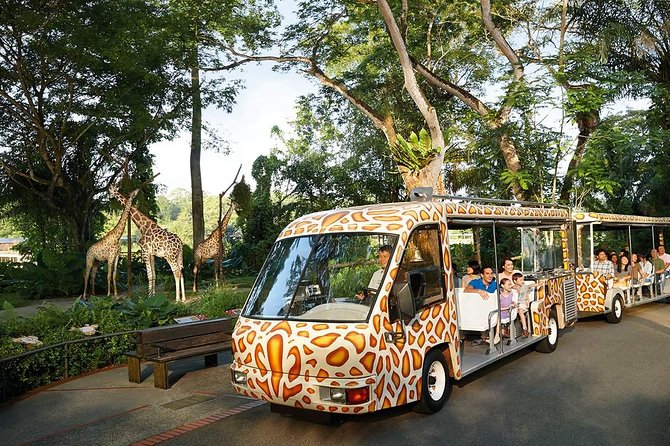 Singapore Bird Paradise & Zoo Full Day (Ticket & Transfer ) - Authentic Reviews and Ratings