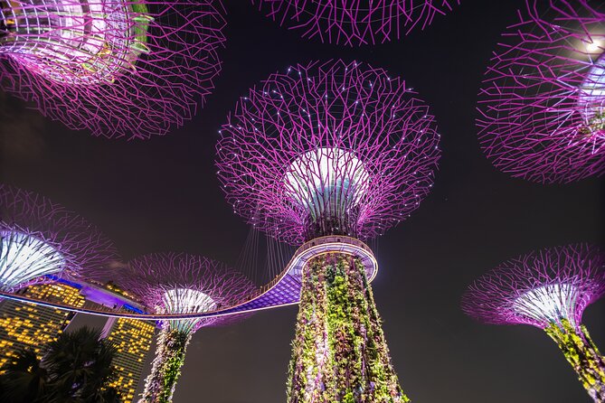 Singapore Gardens by the Bay Admission Skip-The-Line E-Ticket - Directions
