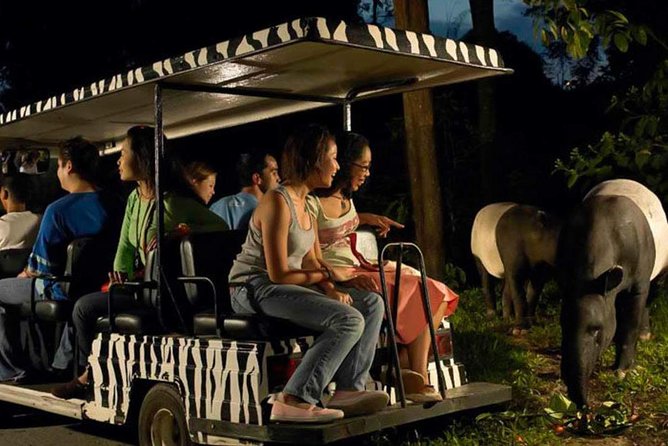 Singapore Zoo & Night Safari Day ( Tickets & Transfer ) - Highlights of the Night Safari
