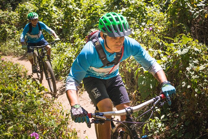 SINGLETRACK MOUNTAIN BIKE - Guided Through the Jungle - Take a Refreshing Break at a Local Beach