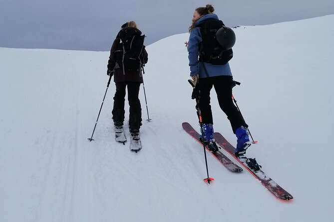 Ski Touring and Log Cabin Between Sweden and Norway - Pricing and Booking Information
