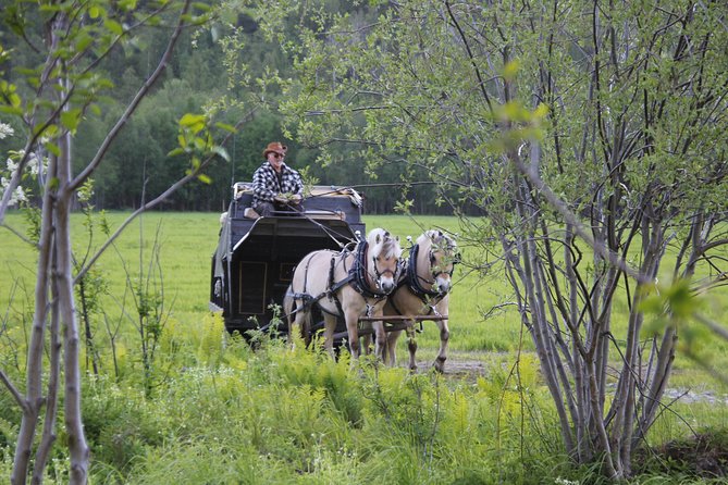 Sleigh Ride W/ Snacks - Experience Arctic Farm Life - Booking and Contact Information
