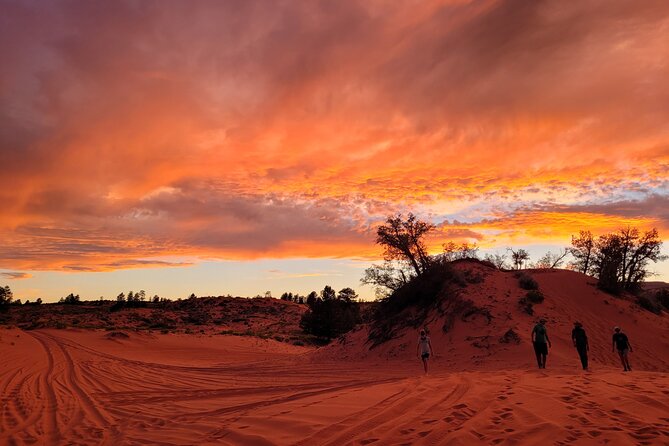Slot Canyon Tour & Sandboarding UTV Adventure - Reviews and Recommendations