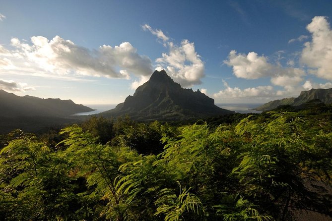 Small-Group 90-Minute Night Snorkeling Safari, Moorea - Good To Know