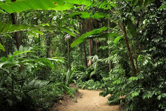 Small-Group Afternoon Cairns City Tour With Harbour Dinner Cruise - Questions and Pricing