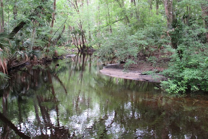 Small Group Blackwater Creek Scenic River Kayak Tour With Lunch - Traveler Photos and Reviews