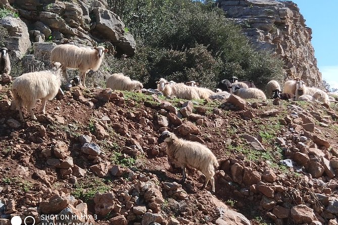 Small-Group Day Tour to Crete'S Dikti Range With Cave of Zeus  - Agios Nikolaos - Directions