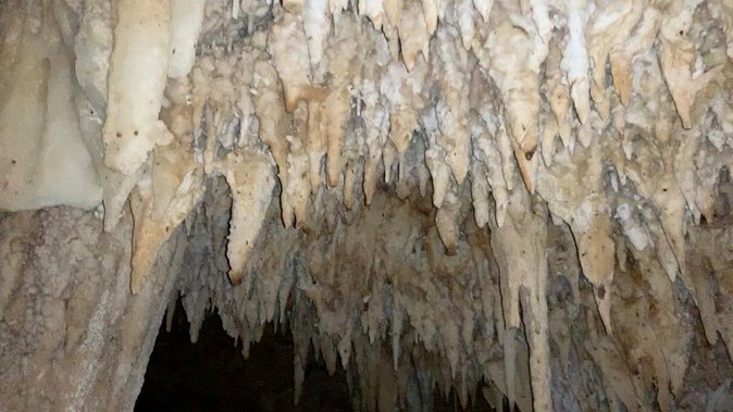 Small-Group Half-Day Active Caves Tour, Bonaire  - Kralendijk - Common Questions