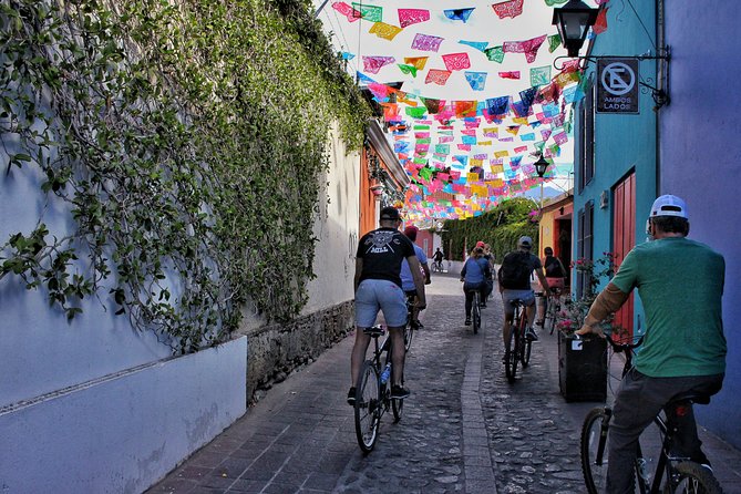 Small-Group Half-Day Bicycle Tour to Street Art Spots, Oaxaca  - Oaxaca City - Tour Highlights