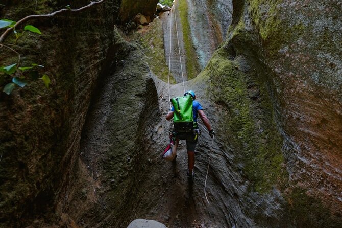 Small-Group Half-Day Canyoning in La Orotava - Miscellaneous