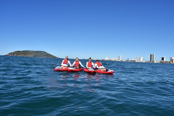 Small-Group Half-Day Deer Island Trip in Mazatlan - Product Information and Pricing