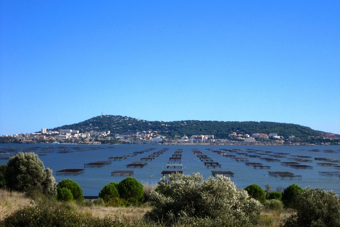 Small-Group Half-Day Languedoc Wine and Oyster Tour From Montpellier - Overall Experience and Highlights
