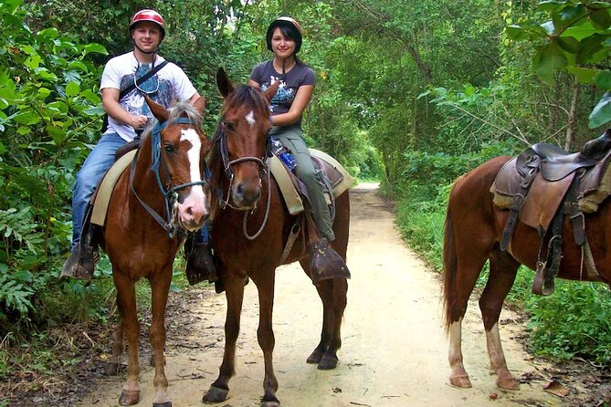Small Group: Half Day Punta Cana Cultural Tour - Local Cuisine Tastings