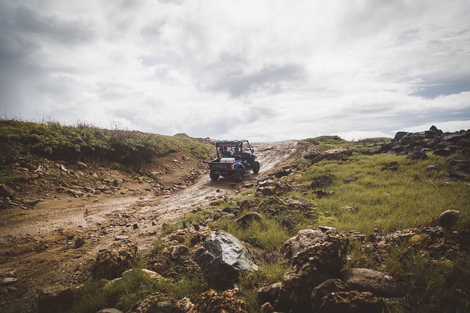 Small-Group Half-Day UTV Adventure Morning Tour in Aruba - What to Expect