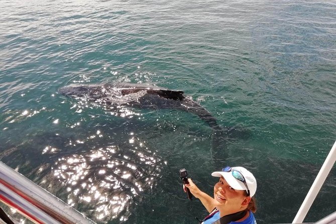 Small-Group Half-Day Whale-Watching Tour in Puerto Vallarta - Overall Experience