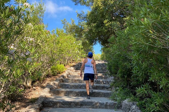 Small Group Hiking to the Valley of the Butterflies of Rhodes - Important Information and Restrictions