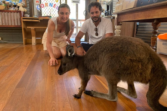 Small Group Kangaroo Island Tour - Dudley Peninsula - Cancellation Policy