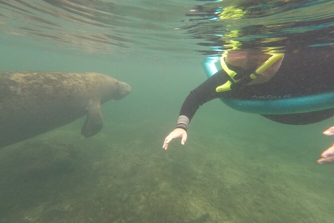 Small Group Manatee Snorkel Tour With In-Water Guide and Photographer - Meeting and Pickup