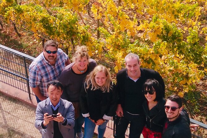 Small Group Rheingau Vineyards Tour With Castles and Abbeys - Castles and Abbeys Explored