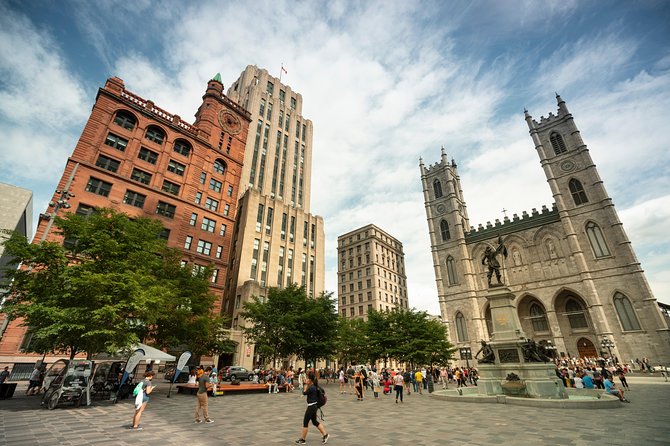 Small-Group Sightseeing Tour of Montreal - Customer Feedback on Tour Guides, Transportation, and Overall Experience