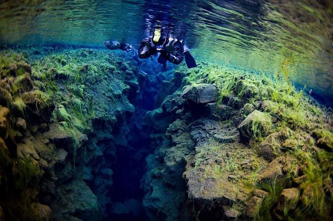 Small-Group Snorkeling in Silfra With Transfer & Free Photos Included - Learning About Tectonic Plates