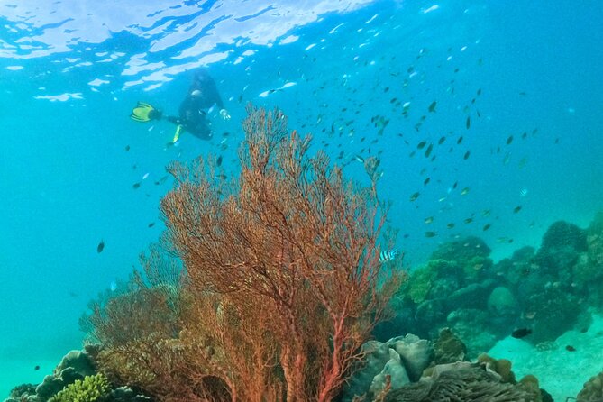 [Small-Group] SNORKELING & SUNSET MEAL at Private Beach-Max 9 PAX - Questions and Contact Information