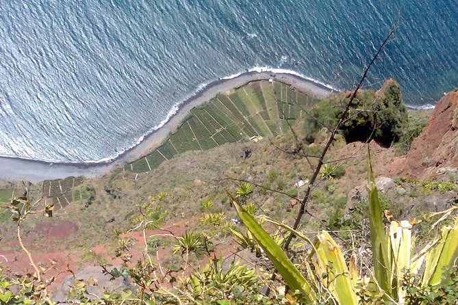 Small Group West Tour Waterfalls & Fanal Forest Tour - Positive Reviews and Host Response