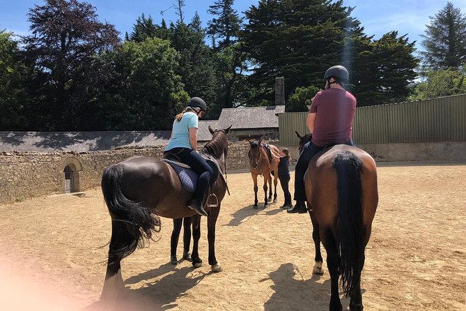 Small-Group Wicklow and Glendalough Day Tour From Dublin With Horse-Back Riding - Common Questions