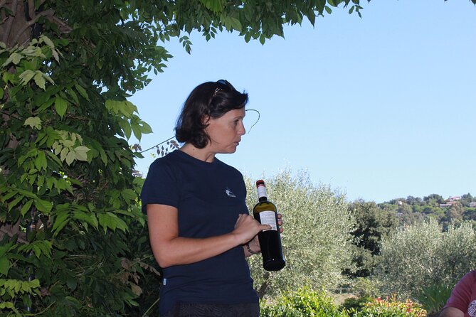 Small Group Wine Tour in the Vineyards of the Gulf of St-Tropez - Contact and Pricing