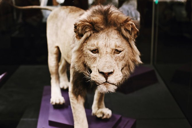 Smithsonian Natural History American History Semi-Private Tour - National Gallery of Art