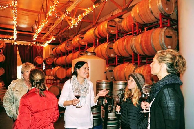Snoqualmie Falls Wine Tasting: All-Inclusive Small-Group Tour - Group Experience and Overall Satisfaction