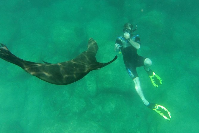 Snorkel & Sea Lion Adventure in Espiritu Santo Island - Trip Highlights and Positive Reviews