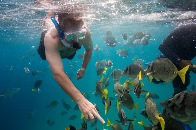 Snorkel Tour to Pelican Rock by Glass-Bottom Boat With Souvenir Photos - Feedback on Captains, Guides, and Food