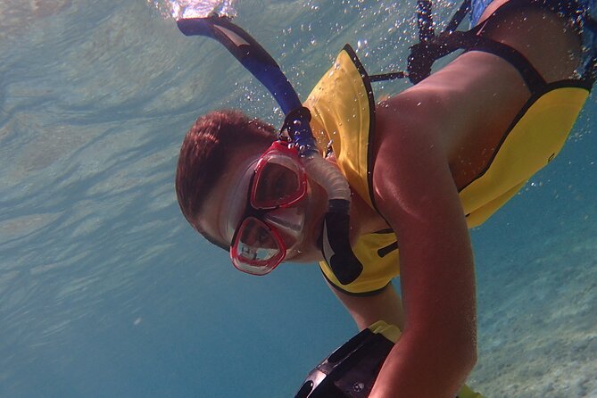 Snorkel With Sea Scooters at Mangel Halto Aruba - Group Tour - Positive Experiences