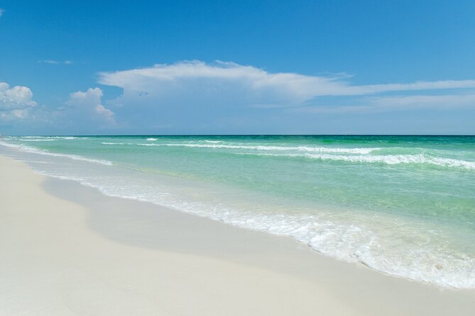 Snorkeling and Dolphin Watching Experience in Destin - Additional Information and Contact Details