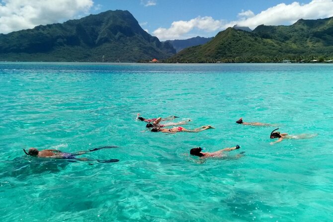 Snorkeling Excursion and Encounter With Marine Fauna in Moorea - Overall Recommendation