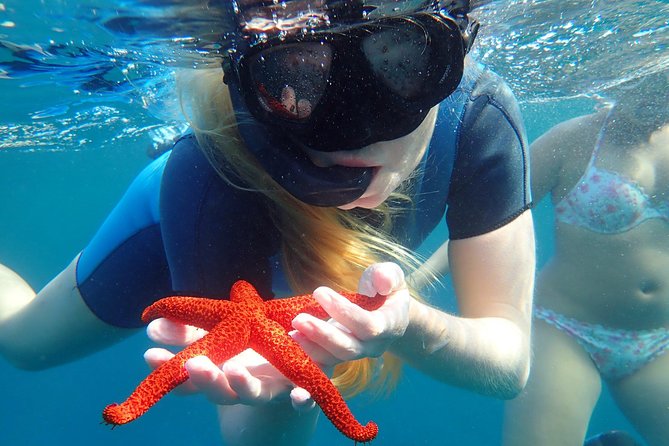 Snorkeling Excursion in Isla De Tabarca - Pricing