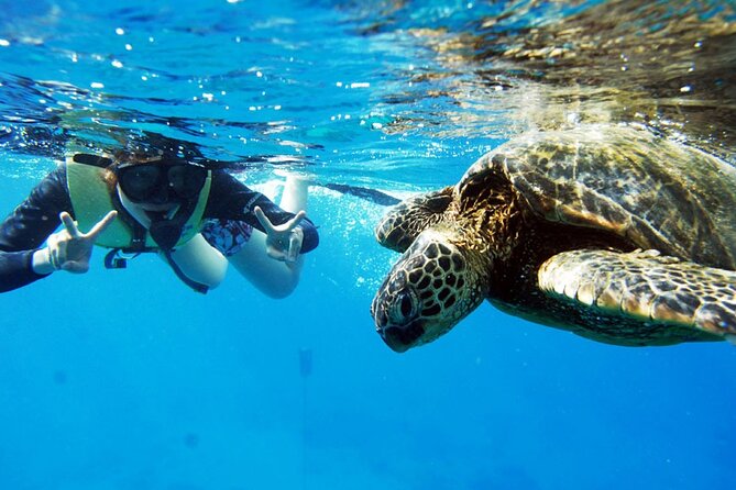 Snorkeling Trip to Fujairah on the UAEs East Coast - Directions