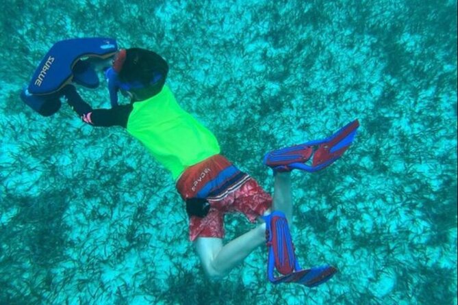 Snorkeling With Sea Scooters and Sea Adventure - Reviews